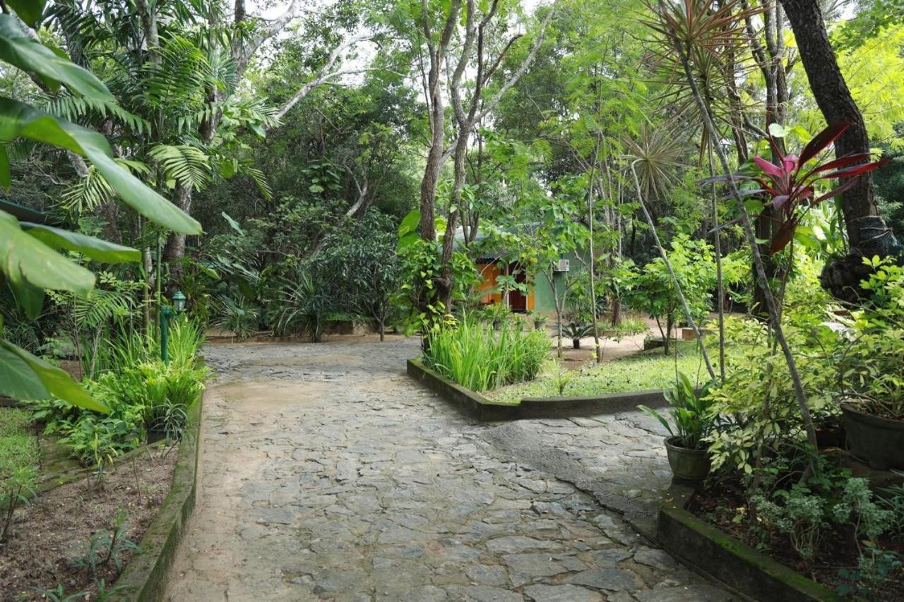 Jays Holiday Resort Habarana Exterior foto
