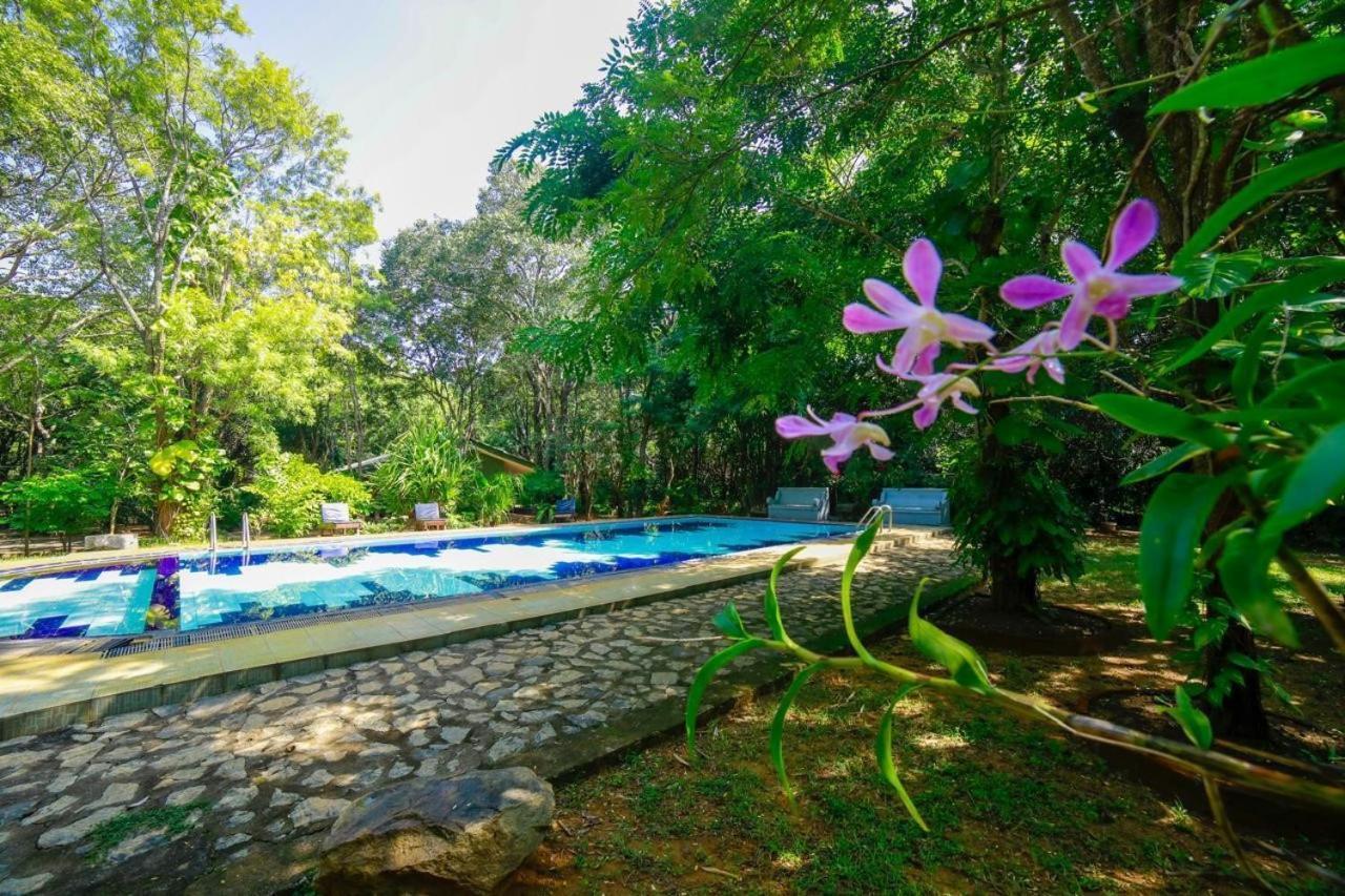 Jays Holiday Resort Habarana Exterior foto