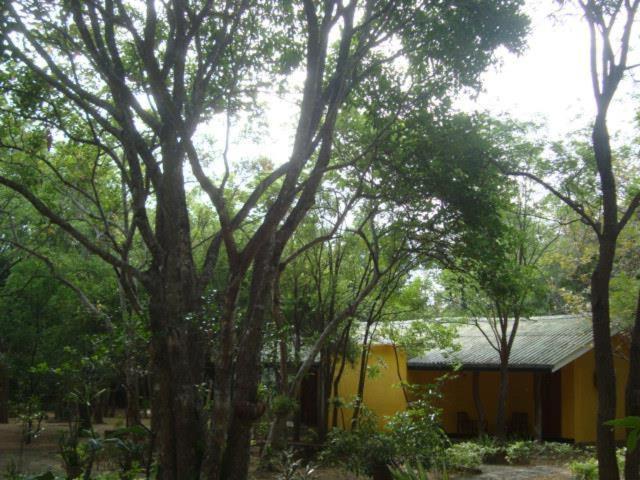 Jays Holiday Resort Habarana Exterior foto