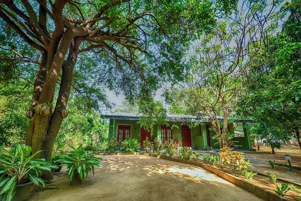 Jays Holiday Resort Habarana Exterior foto